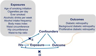 Diabetic retinopathy risk in patients with unhealthy lifestyle: A Mendelian randomization study